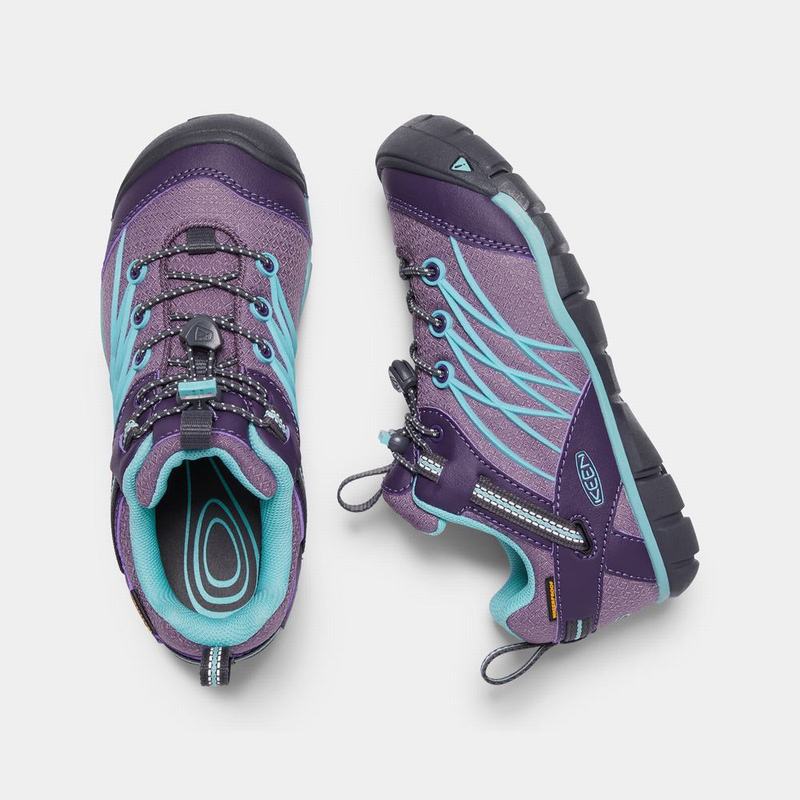 Keen Chandler Waterproof Cnx Kids Hiking Shoes Purple/Turquoise Factory Outlet NZ (9875-VOGCU)